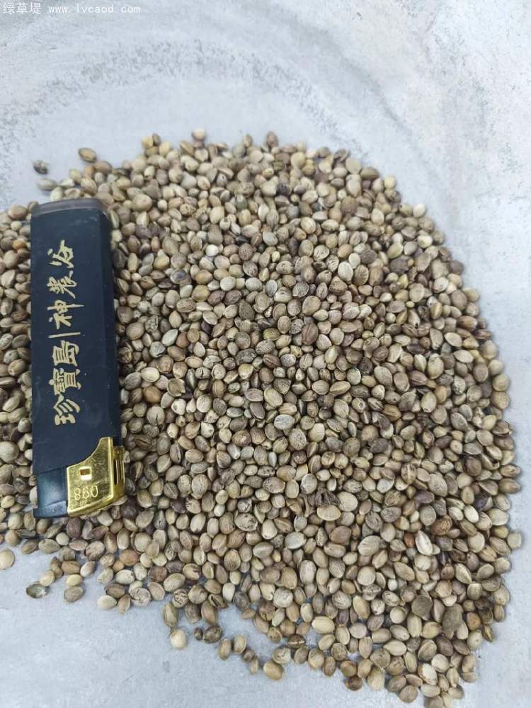 火麻仁